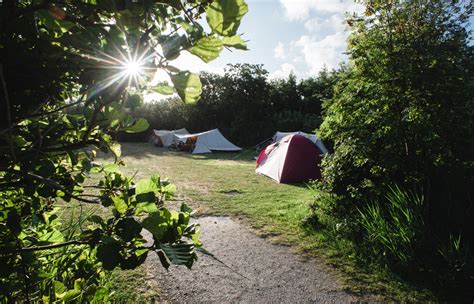 Natuurkampeerterreinen van Staatsbosbeheer.